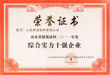 2011年綜合實力十強企業稱号