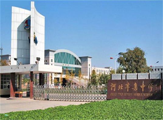 質感真石漆塗料,山東新佳優質真石漆廠家