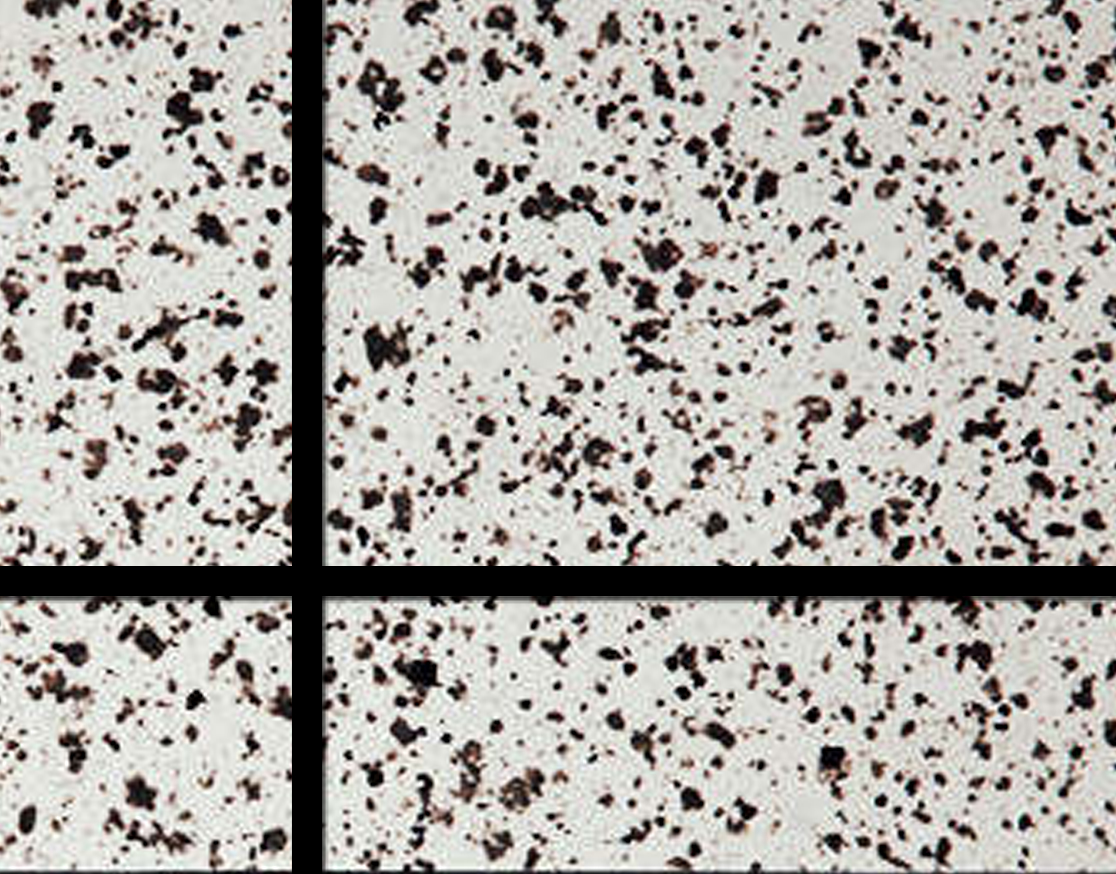 水包水多彩塗料sh-1